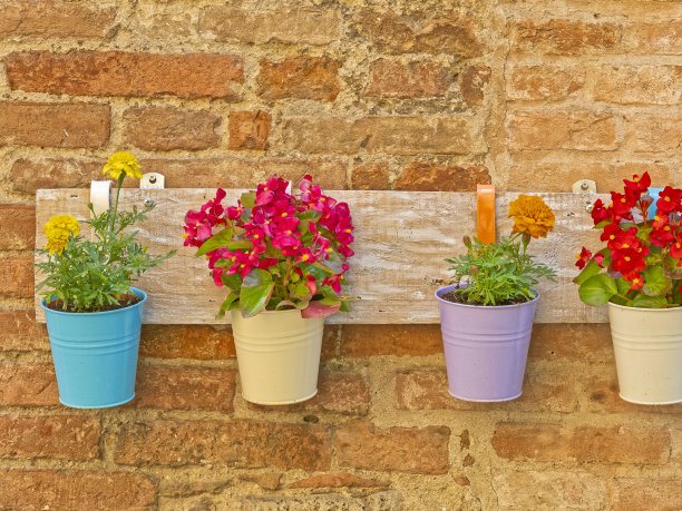 意大利托斯卡纳地区图片下载