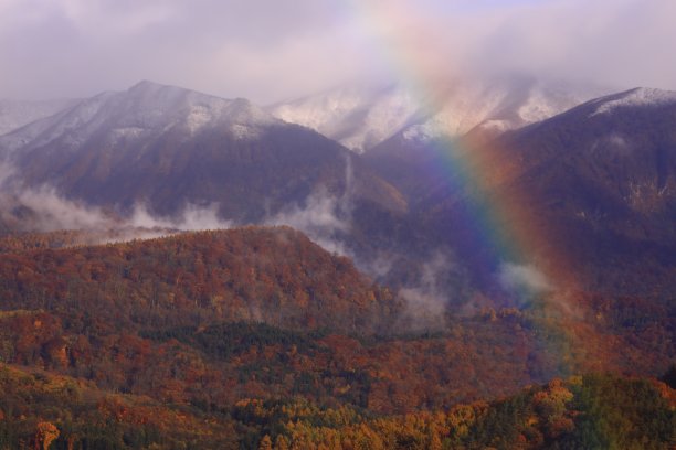 黎明时分，山上秋叶飘洒图片下载