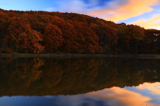 秋叶与雾图片下载
