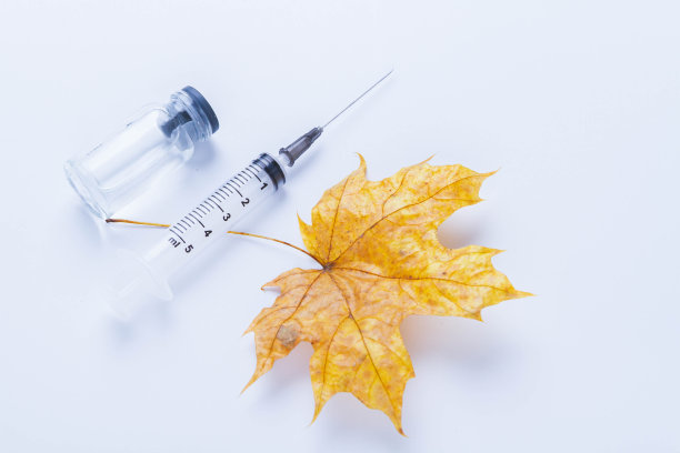 秋枫叶和白色背景的疫苗注射器。预防感冒的疫苗。图片下载