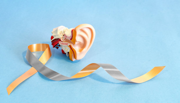 金银丝带与解剖耳模型：听力障碍疾病宣传图片下载