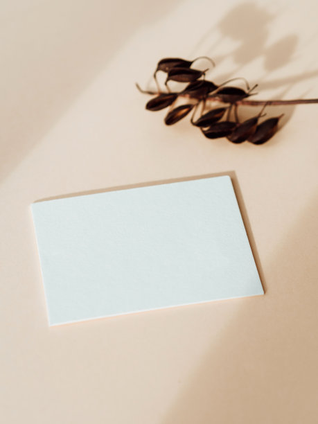 两张空白的白色卡片，米色背景的干早午餐图片下载