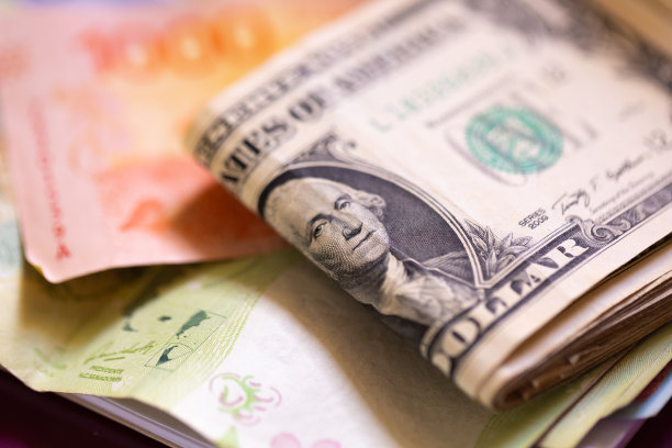 美元钞票和阿根廷比索钞票的特写照片。经济、金融、外汇。图片下载