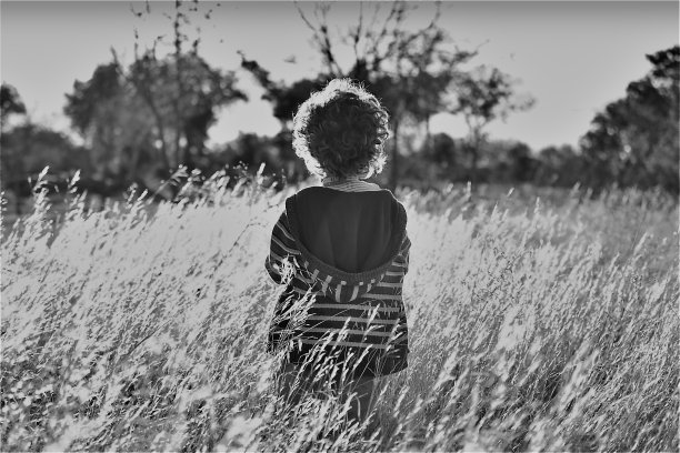 我的儿子图片下载