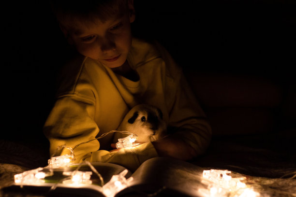 寒假期间，男孩抱着豚鼠，在灯光下看书图片下载