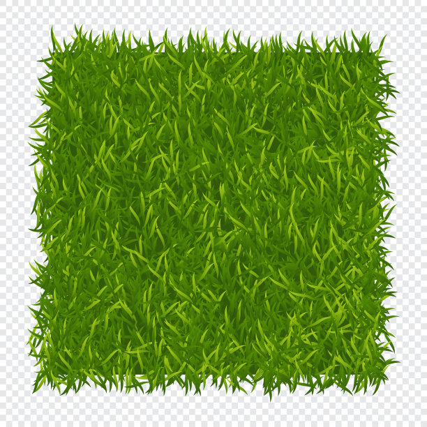绿色的草地背景。自然草坪。抽象的场纹理。绿草质地。矢量图图片下载
