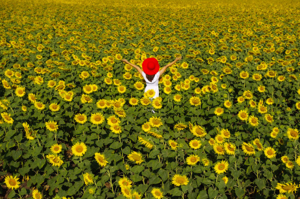 美丽的女人在大自然中绽放。图片下载