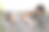 中东中年妇女和她的年轻白人伴侣在情人节相爱微笑图片下载