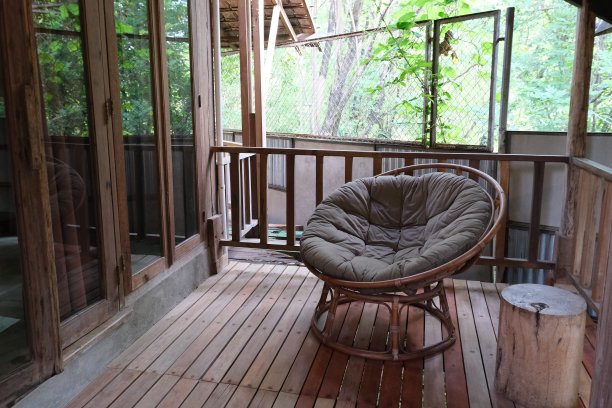 带植物的排屋，木墙，舒适的沙发。庭院或阳台的舒适空间概念。复古的户外休息室在后院。图片下载