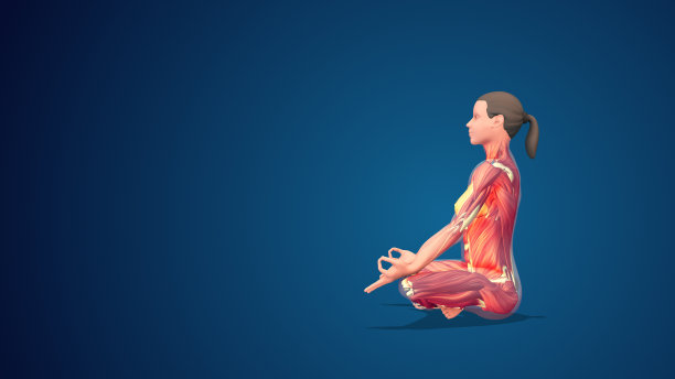 蓝色背景上的3D人体Sukhasana或简单的瑜伽姿势图片下载