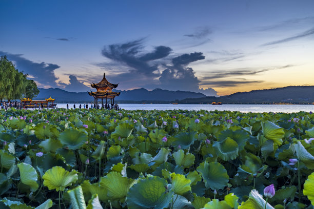 中国浙江省杭州市西湖夜景图片下载