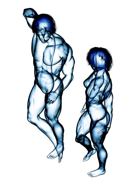 美丽健身夫妇的肌肉系统图片下载