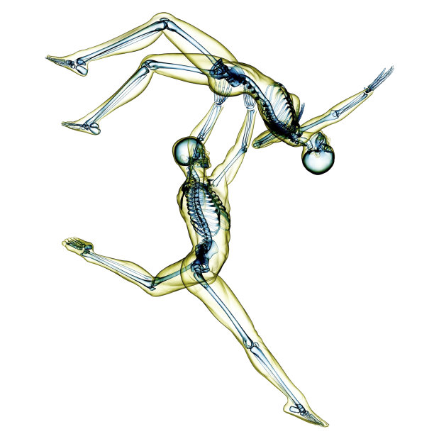 《滑冰舞者解剖》图片下载