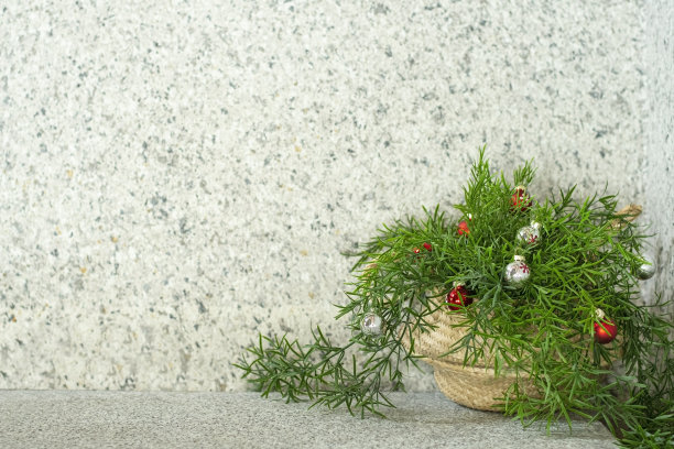 花盆和复制空间图片下载