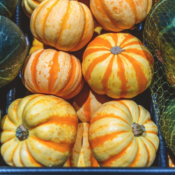 超市里的南瓜图片下载