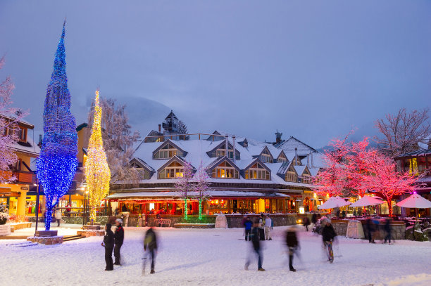 惠斯勒村的雪夜图片下载