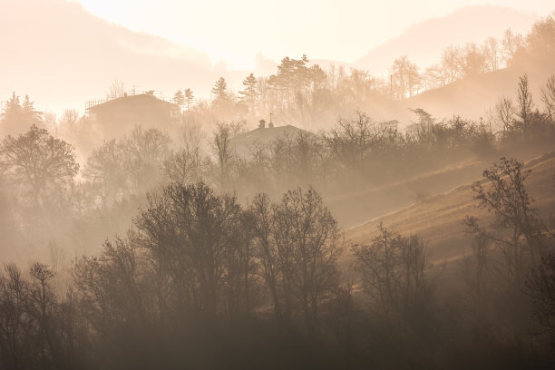 走向光明图片下载