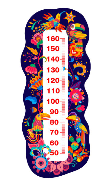 孩子身高图墨西哥蜂鸟花图片下载