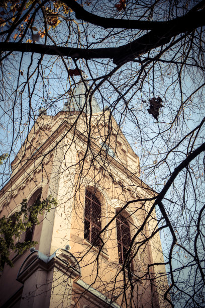 天主教堂的塔，树枝后面有一个时钟，映衬着天空。图尔大教堂的圣马丁。Mukachevo图片下载