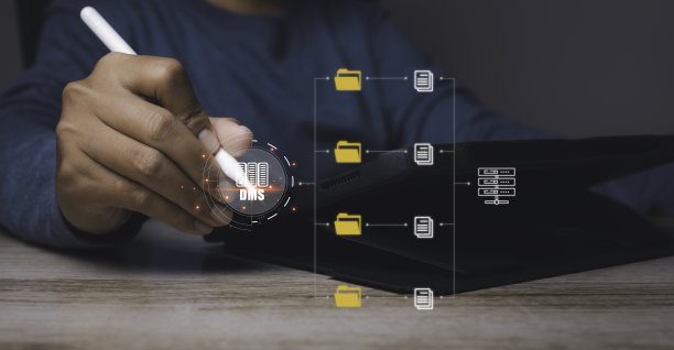 商务访问业务连接在线数据库文档管理系统(DMS)。图片下载