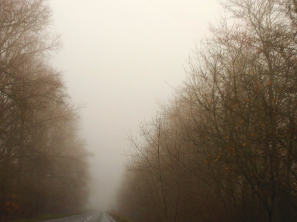 雾中的街道图片下载