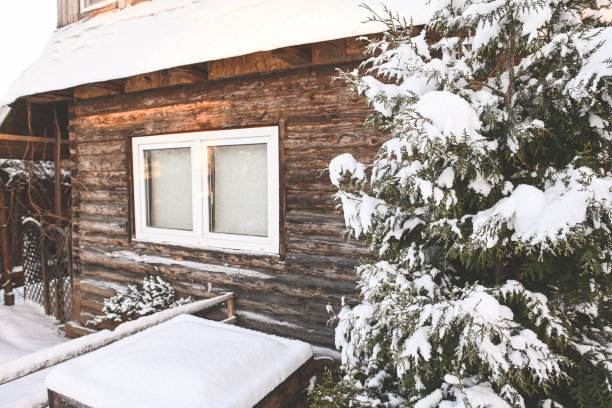 后院花园里的树被雪覆盖着图片下载
