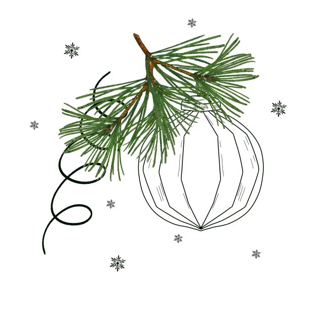 圣诞冷杉枝上挂着圣诞球，白色背景上孤立的节日装饰。图片下载
