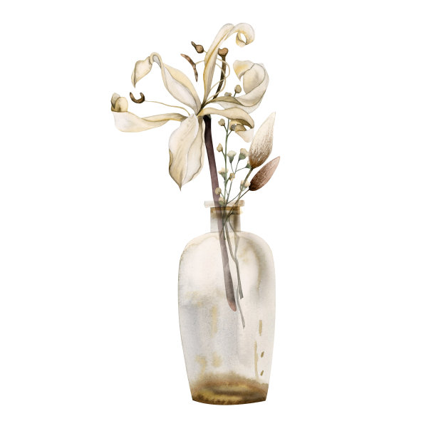 手绘水彩花在玻璃瓶。白色的百合和野花的干花束图片下载