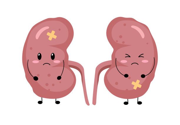 可爱的伤心生病的肾脏卡通人物在平面设计的白色背景。不健康肾脏疾病概念载体插图。图片下载