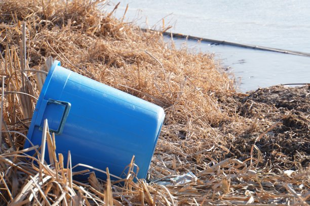 湖边的蓝色水桶图片下载