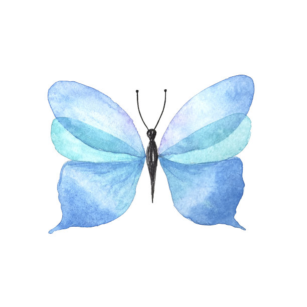 水彩蓝蝴蝶孤立插图。手绘植物风格昆虫白色背景，用于婚礼，假日和儿童的设计图片下载