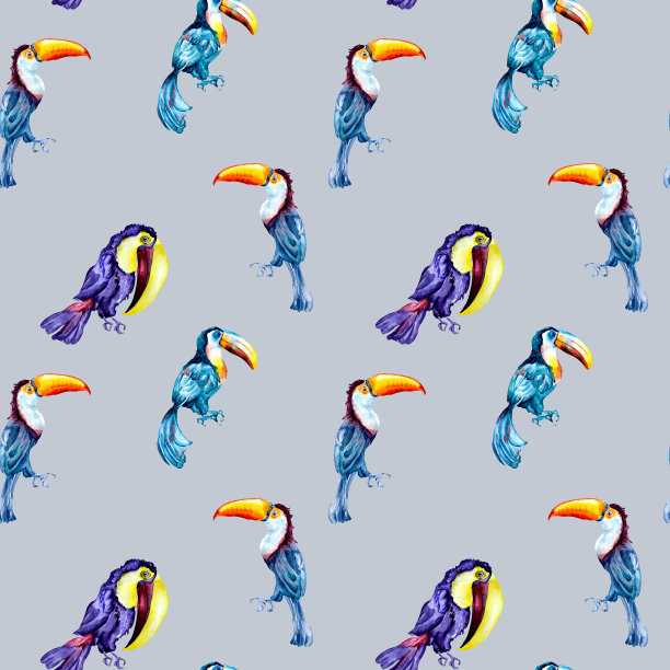 巨嘴鸟，异国情调的热带鸟类水彩无缝图案在蓝色背景图片下载