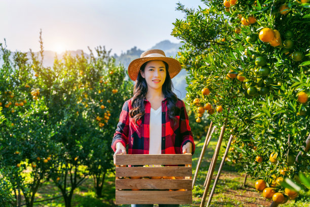 快乐的妇女农民提着木篮子成熟的有机橘子。图片下载