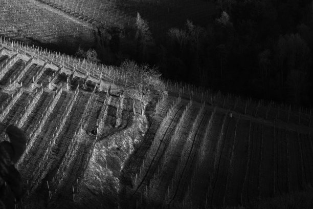 Serralunga d'Alba的皮埃蒙特朗格人的黑白图像图片下载