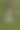 苔藓砖墙作为3D纹理图片下载