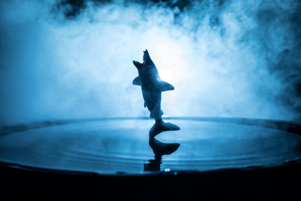 水族馆里的鱼。水溅在黑暗雾的背景。有选择性的重点。图片下载