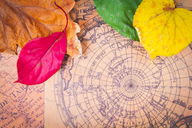 秋叶中的旅行者地图。秋天旅行。复古地图和树叶。图片下载