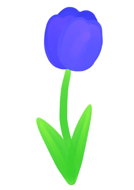 郁金香花春天红郁金香图片下载