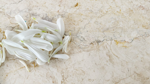 抽象堆白色花瓣与大理石背景与复制空间的文本图片下载