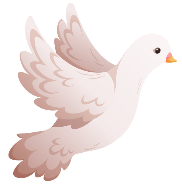 卡通白鸽，婚礼鸽子，和平鸽孤立图片下载