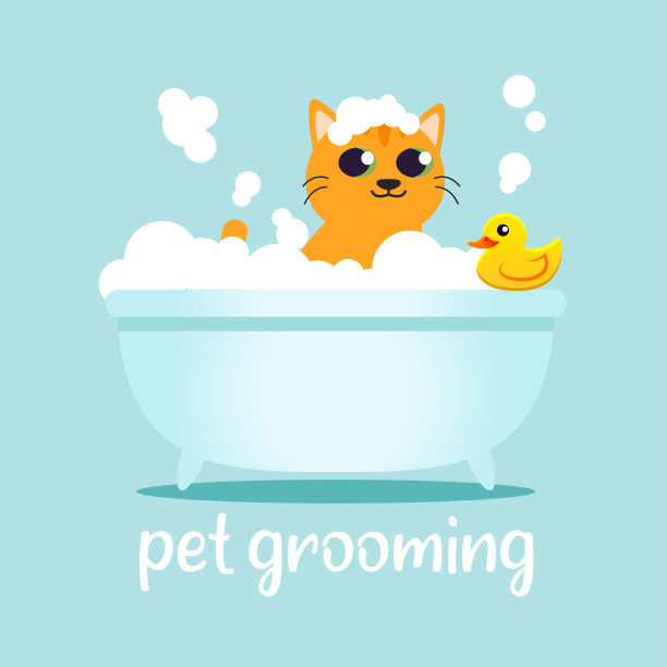 宠物美容卡通插画图片下载