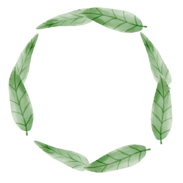 热带树叶水彩花环。丛林水彩树叶。手绘插图孤立的白色背景。图片下载