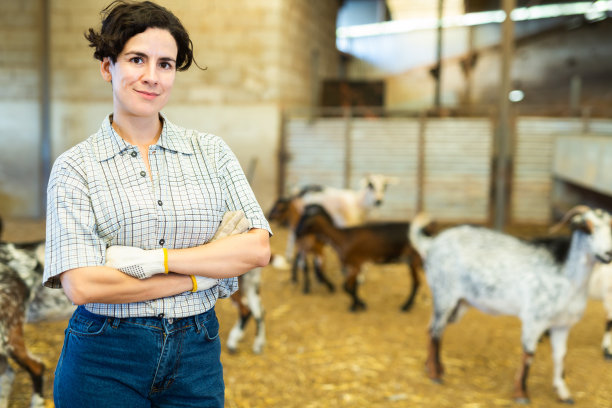 畜牧场的西班牙籍女工站在山羊棚里图片下载