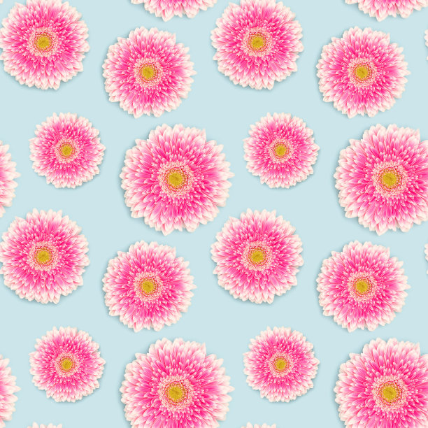 粉红色非洲菊花在蓝色背景上的无缝图案。图片下载