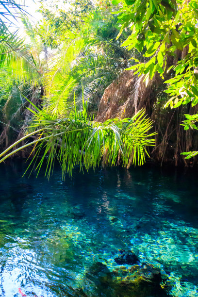 坦桑尼亚Moshi附近的Chemka温泉(Kikuletwa)图片下载