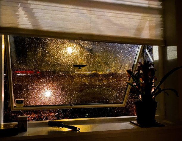 清晨——雨天图片下载