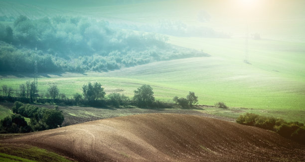 美丽的摩拉维亚田野图片下载