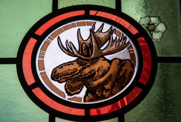 驼鹿的彩色玻璃窗图片下载