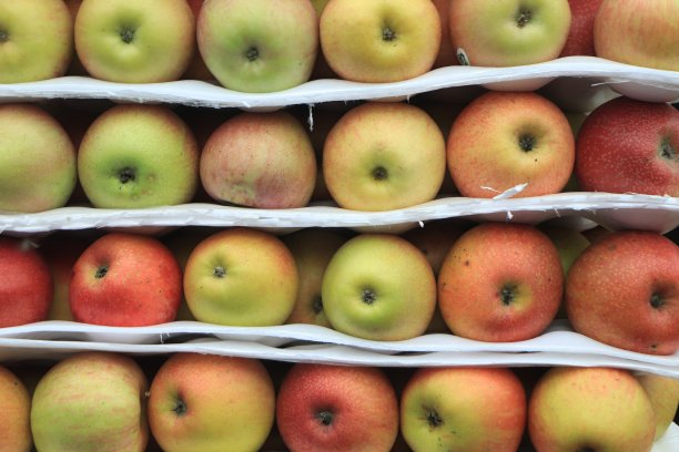 红苹果的全帧镜头。市场上新鲜的红苹果。图片下载