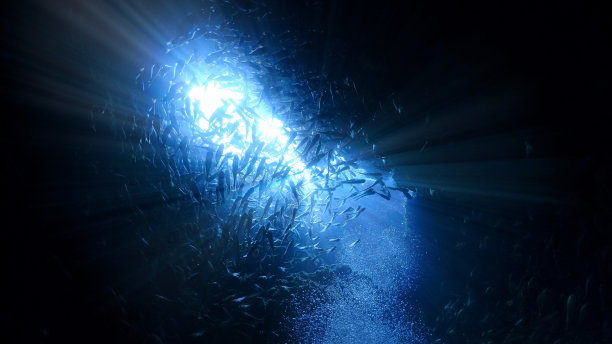 洞穴里水下的光线和鱼群图片下载